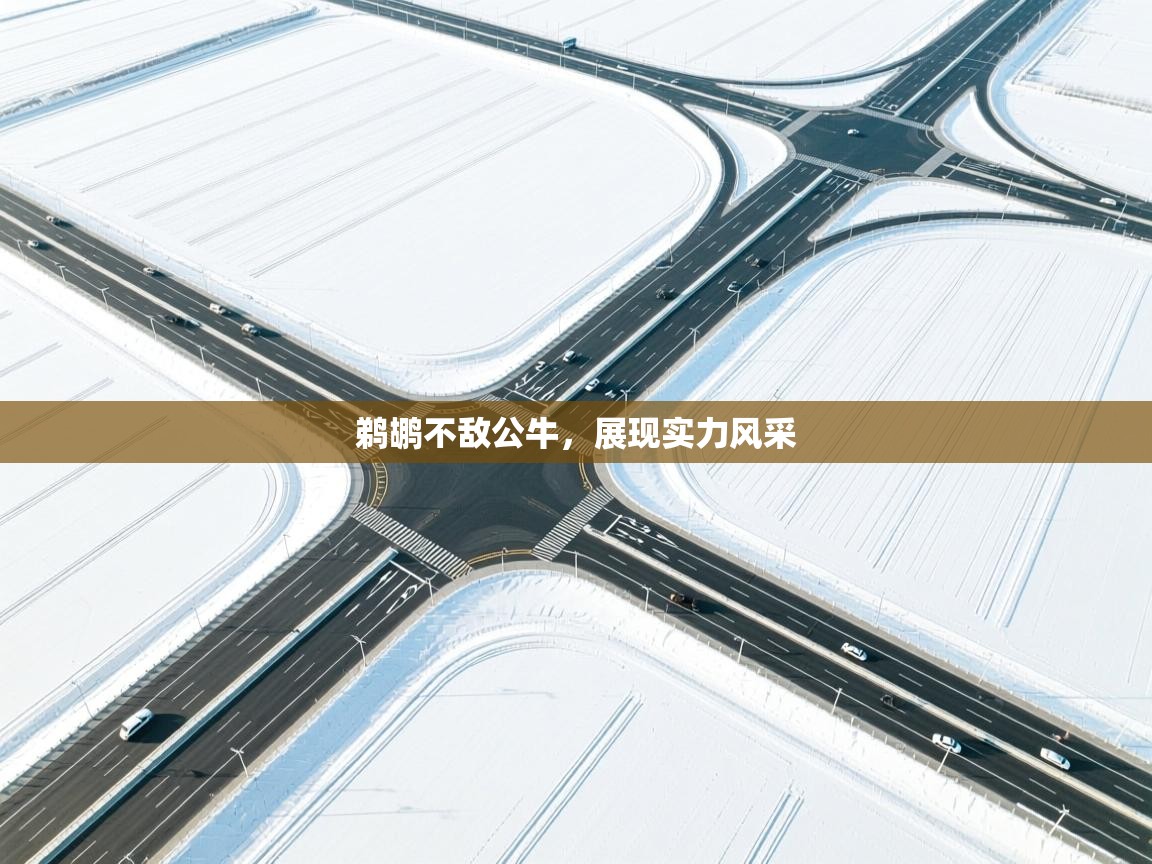 鹈鹕不敌公牛,展现实力风采 第1张