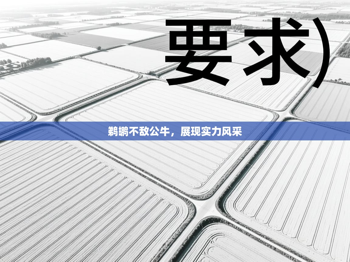 鹈鹕不敌公牛,展现实力风采 第2张