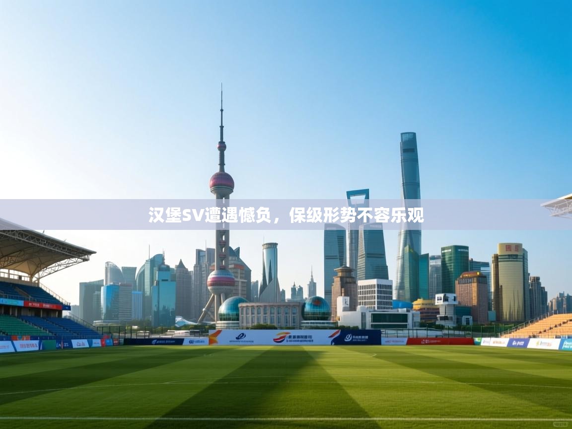 汉堡SV遭遇憾负，保级形势不容乐观  第1张