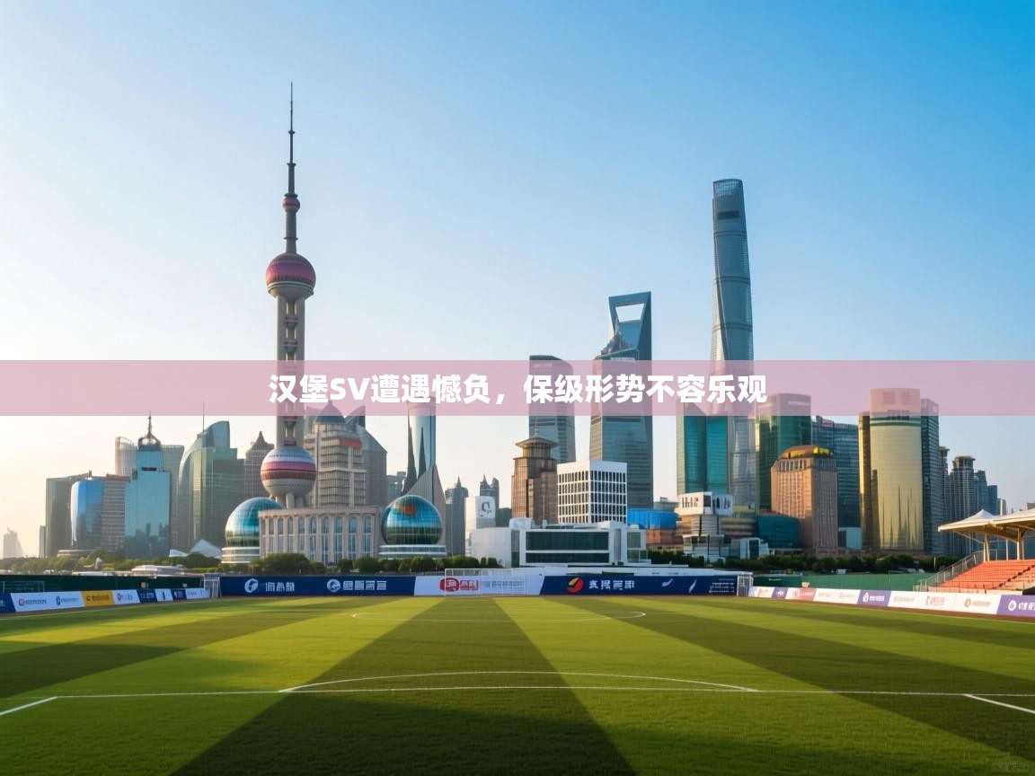 汉堡SV遭遇憾负，保级形势不容乐观  第2张