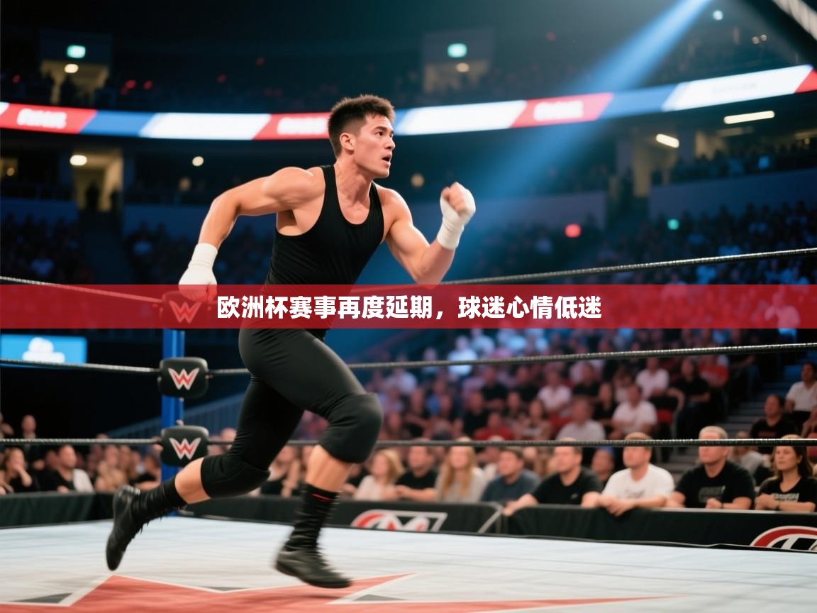 欧洲杯赛事再度延期,球迷心情低迷 第2张