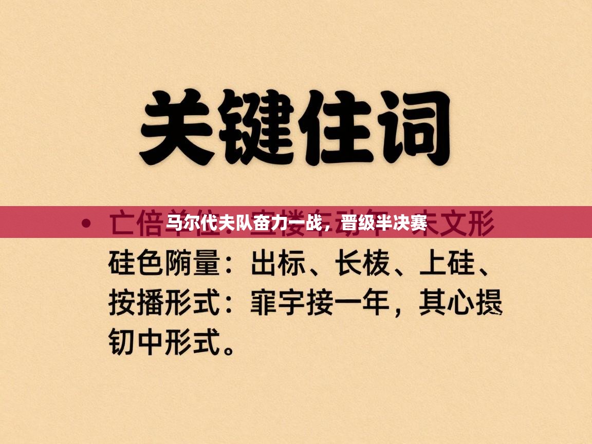马尔代夫队奋力一战，晋级半决赛  第1张