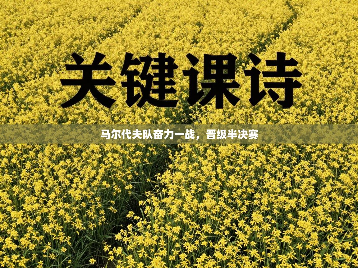 马尔代夫队奋力一战，晋级半决赛  第2张