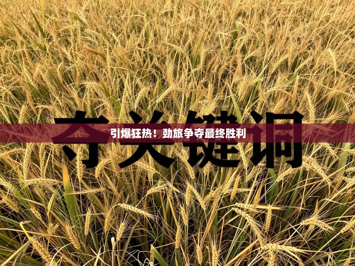 引爆狂热!劲旅争夺最终胜利 第1张