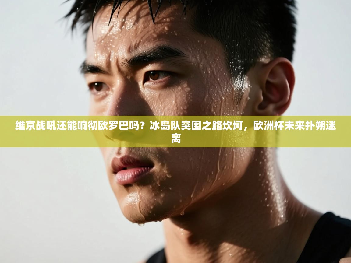 维京战吼还能响彻欧罗巴吗?冰岛队突围之路坎坷,欧洲杯未来扑朔迷离 第1张