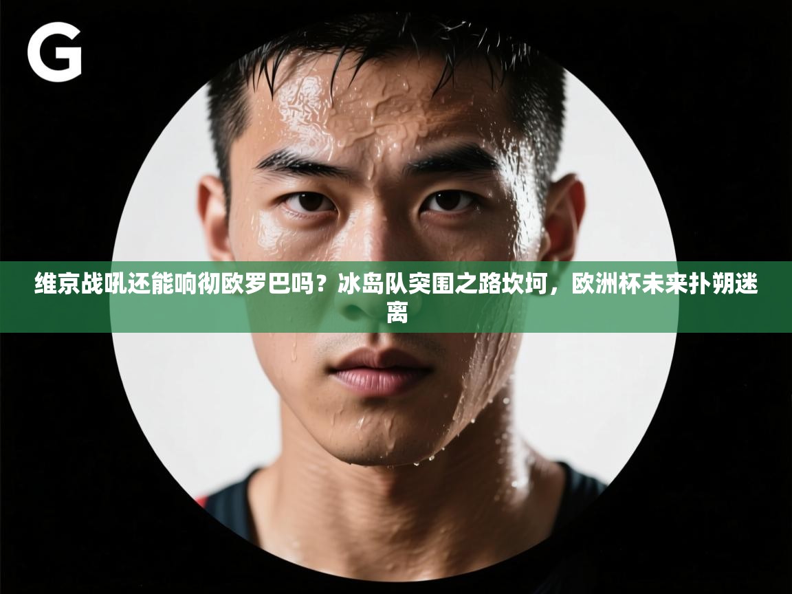 维京战吼还能响彻欧罗巴吗?冰岛队突围之路坎坷,欧洲杯未来扑朔迷离 第2张