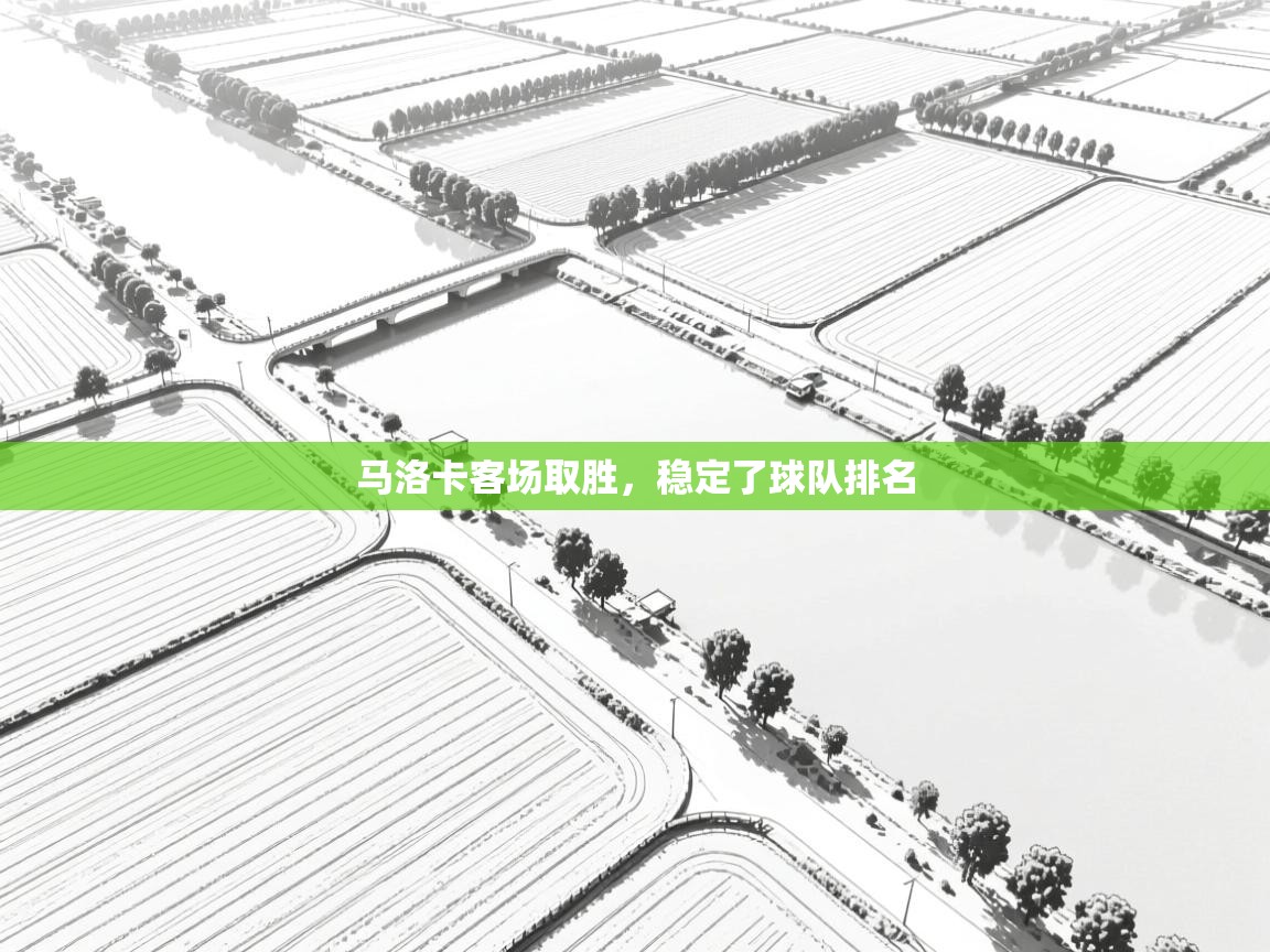 马洛卡客场取胜，稳定了球队排名  第1张