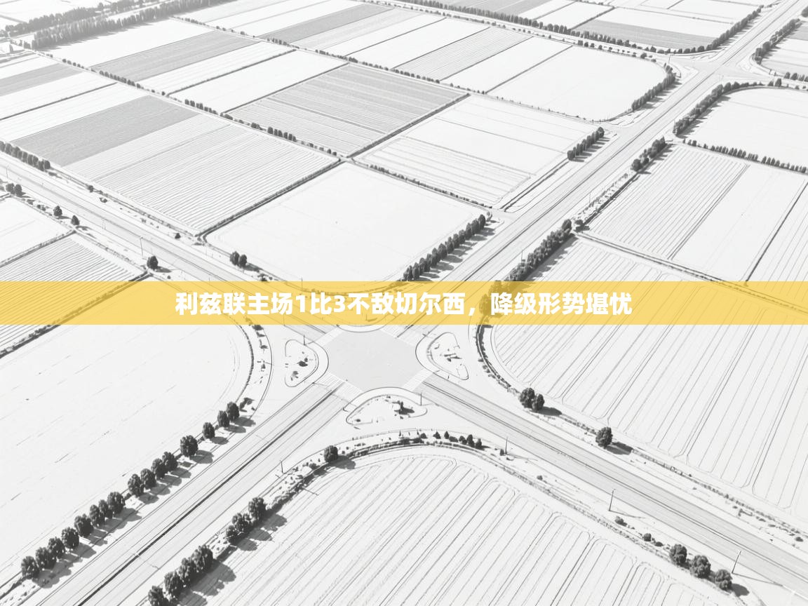 利兹联主场1比3不敌切尔西,降级形势堪忧 第1张