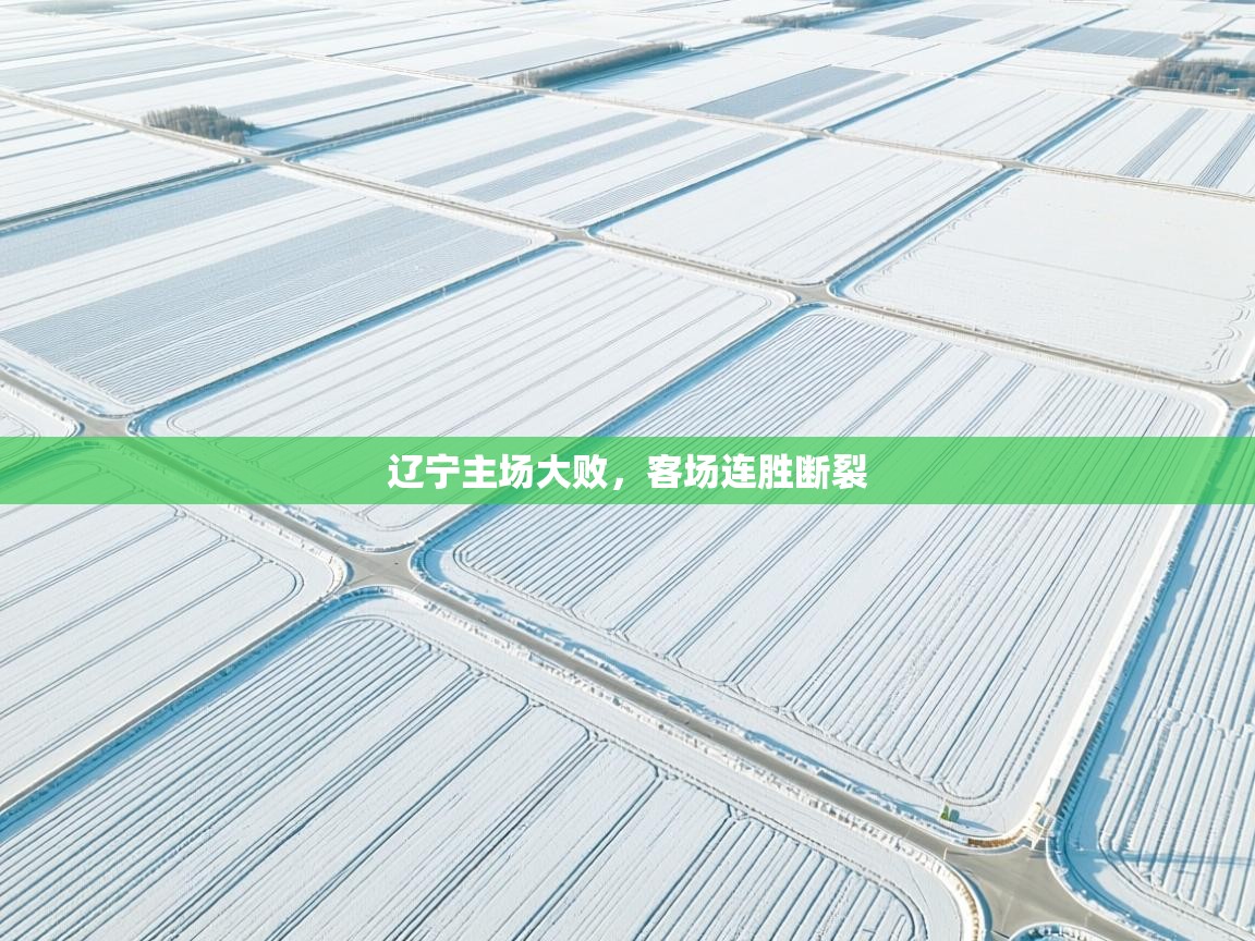 辽宁主场大败，客场连胜断裂  第2张