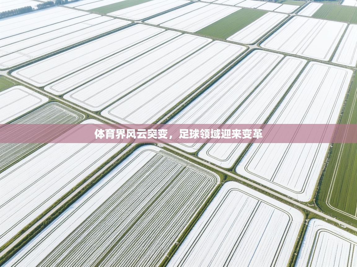 体育界风云突变，足球领域迎来变革  第2张