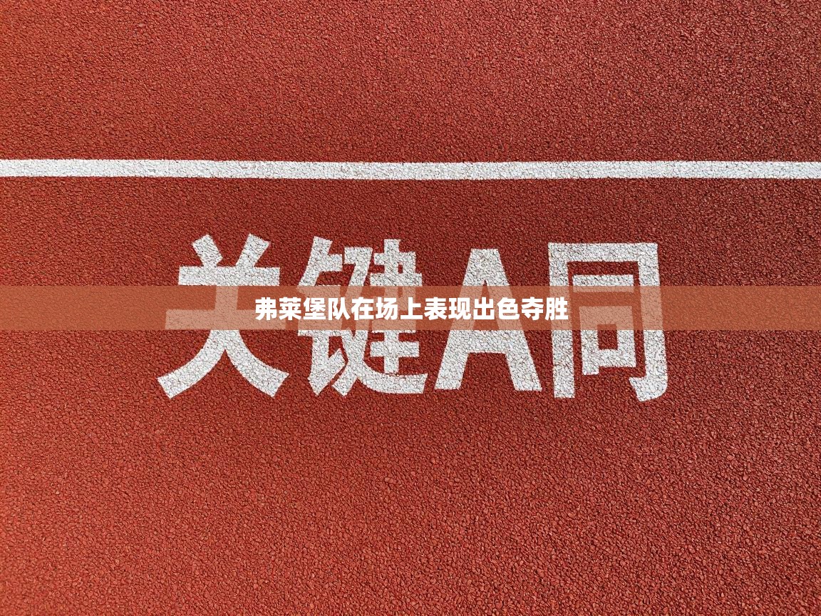 弗莱堡队在场上表现出色夺胜  第2张