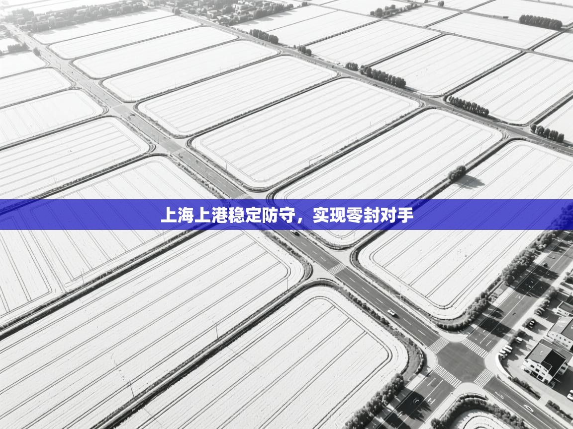 上海上港稳定防守，实现零封对手  第1张