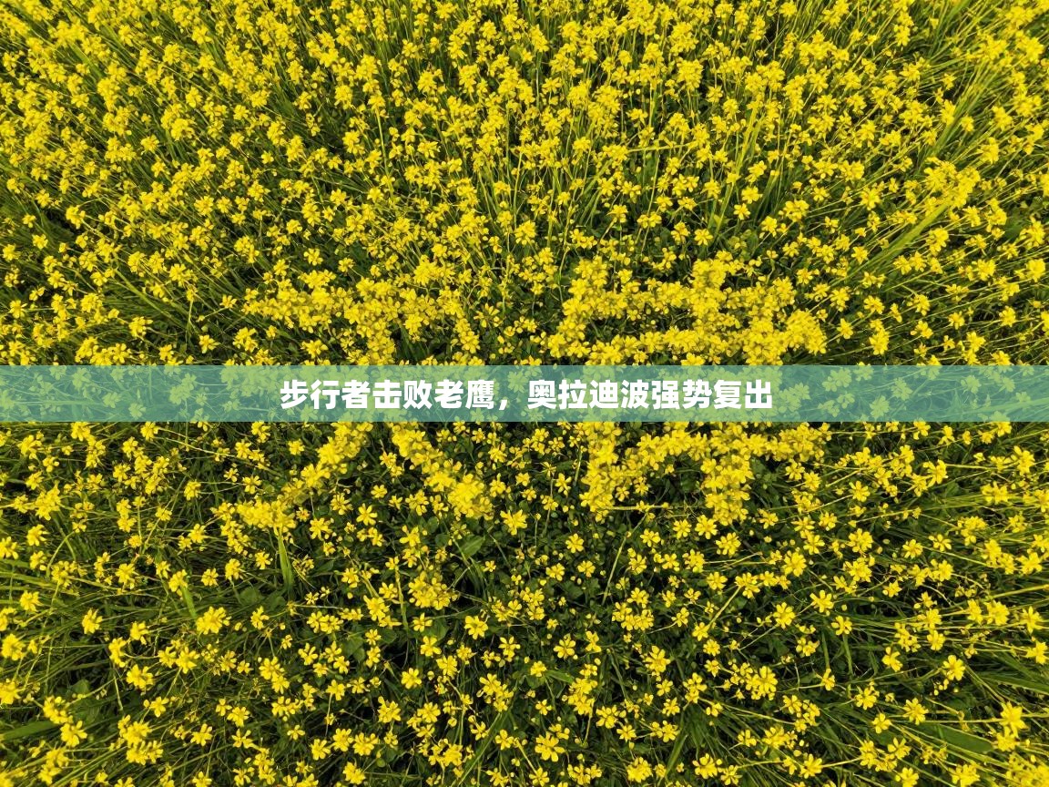 步行者击败老鹰，奥拉迪波强势复出  第2张