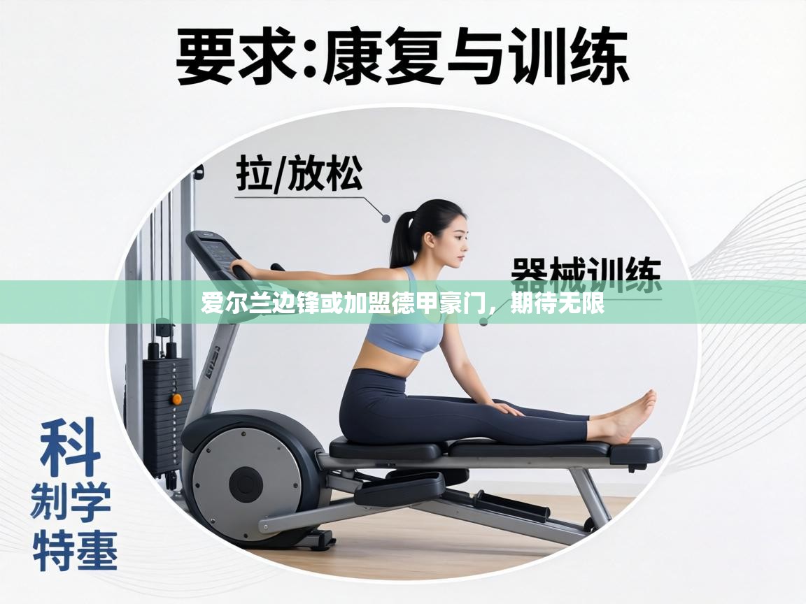 爱尔兰边锋或加盟德甲豪门，期待无限  第2张